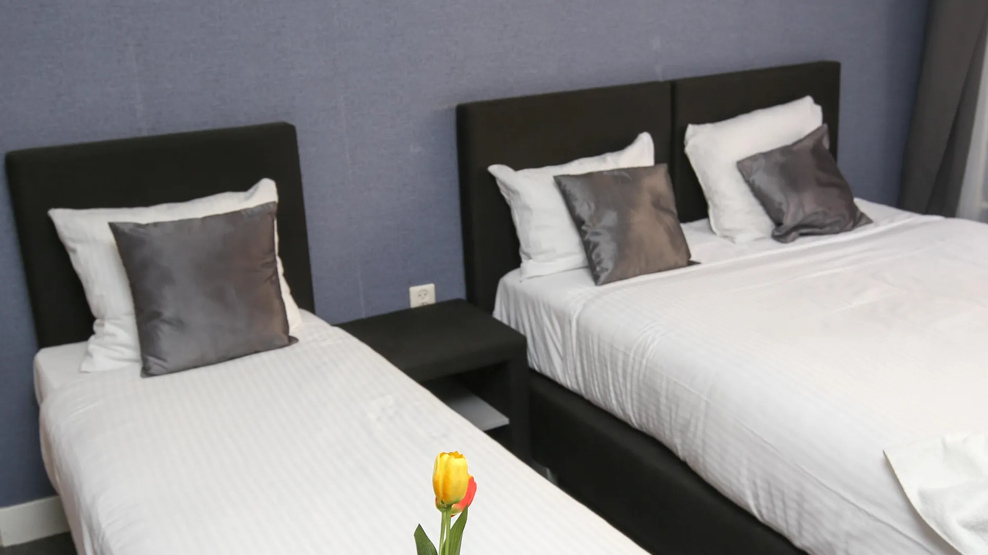 Hotel Flipper Amsterdam